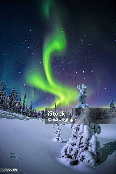 Aurora Boreal Foto de stock y más banco de imágenes de Aurora boreal - Aurora boreal, Finlandia, Paisaje no urbano