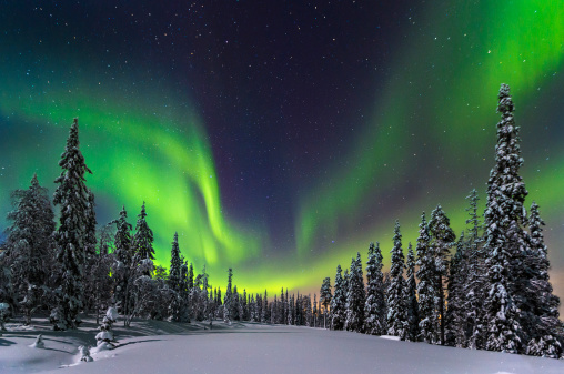 Northern lights over the Pyhae Luosto National Park in northern Finnland.