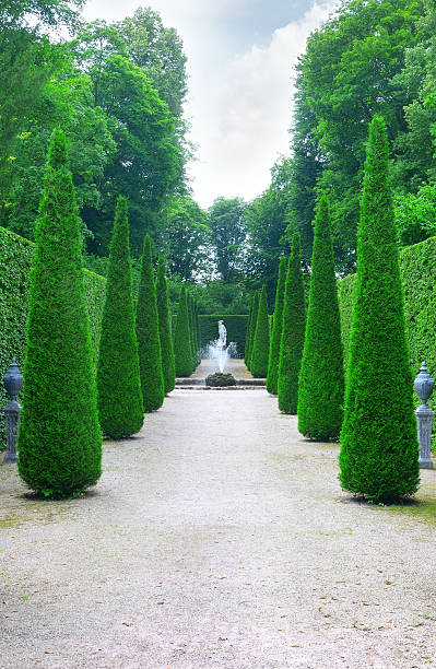 istock Beautiful alley in the park. 163734619