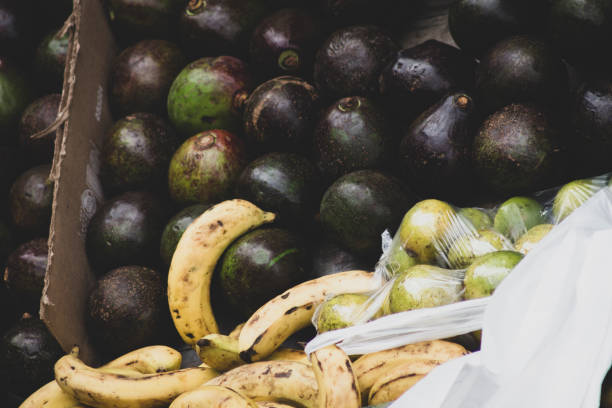 Variety of fresh fruits and vegetables