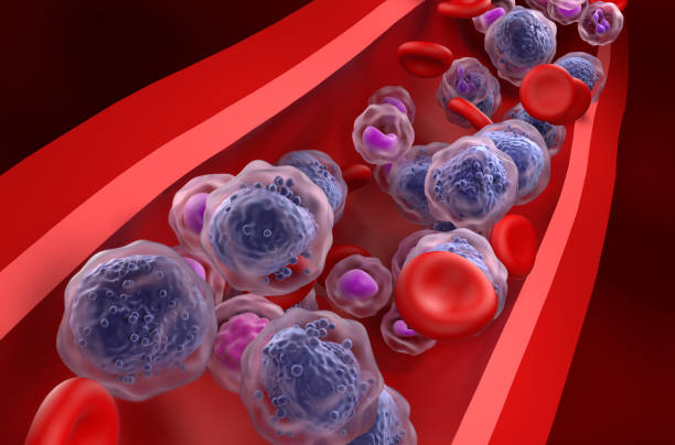 Acute myeloid leukemia AML cells in blood flow - closeup view 3d illustration stock photo