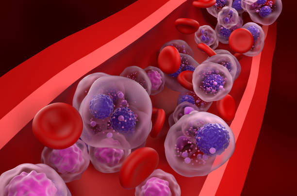 Multiple myeloma cells cluster in the blood flow - closeup view 3d illustration stock photo