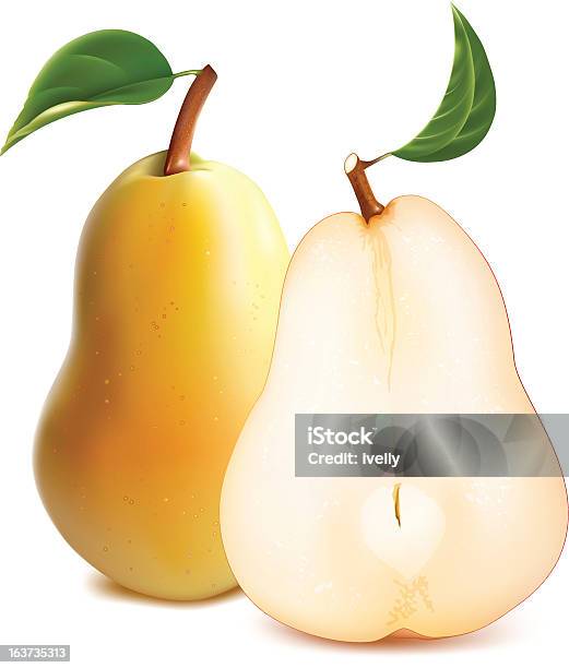 잘 익은 Pears 녹색 잎 과일에 대한 스톡 벡터 아트 및 기타 이미지 - 과일, 녹색, 다이어트