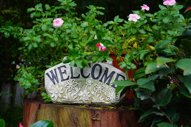 istock Nature welcomes you. 1637362387