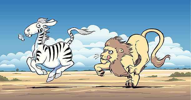 Lion hunting a zebra vector art illustration