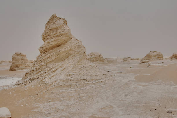 vast landscape of the dry and arid region of the white desert in Egypt with bizarre rock formations caused by wind erosion.