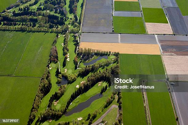 Campo Da Golf E I Campi - Fotografie stock e altre immagini di Agricoltura - Agricoltura, Albero, Ambientazione esterna