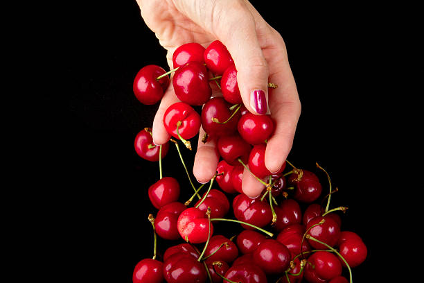 Ripe cherries on a black background, a female hand is dropping them down; copy space