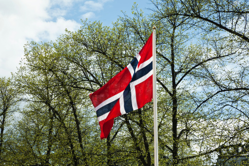 Norwegian flag and green deciduous trees in spring.