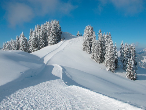 Ski slope and snow covered trees, Wispile