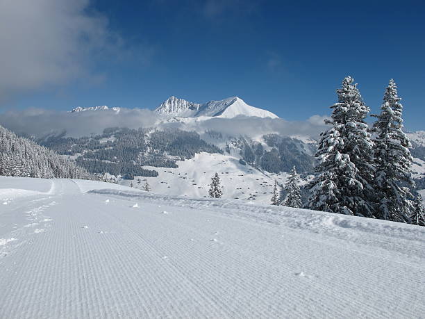 dia de inverno nos alpes suíços - bernese oberland gstaad winter snow imagens e fotografias de stock