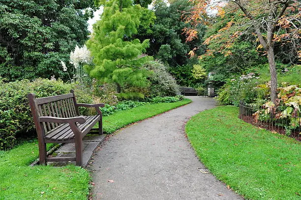 Wooden Bench and Winding Pathway in a Beautiful Formal Garden