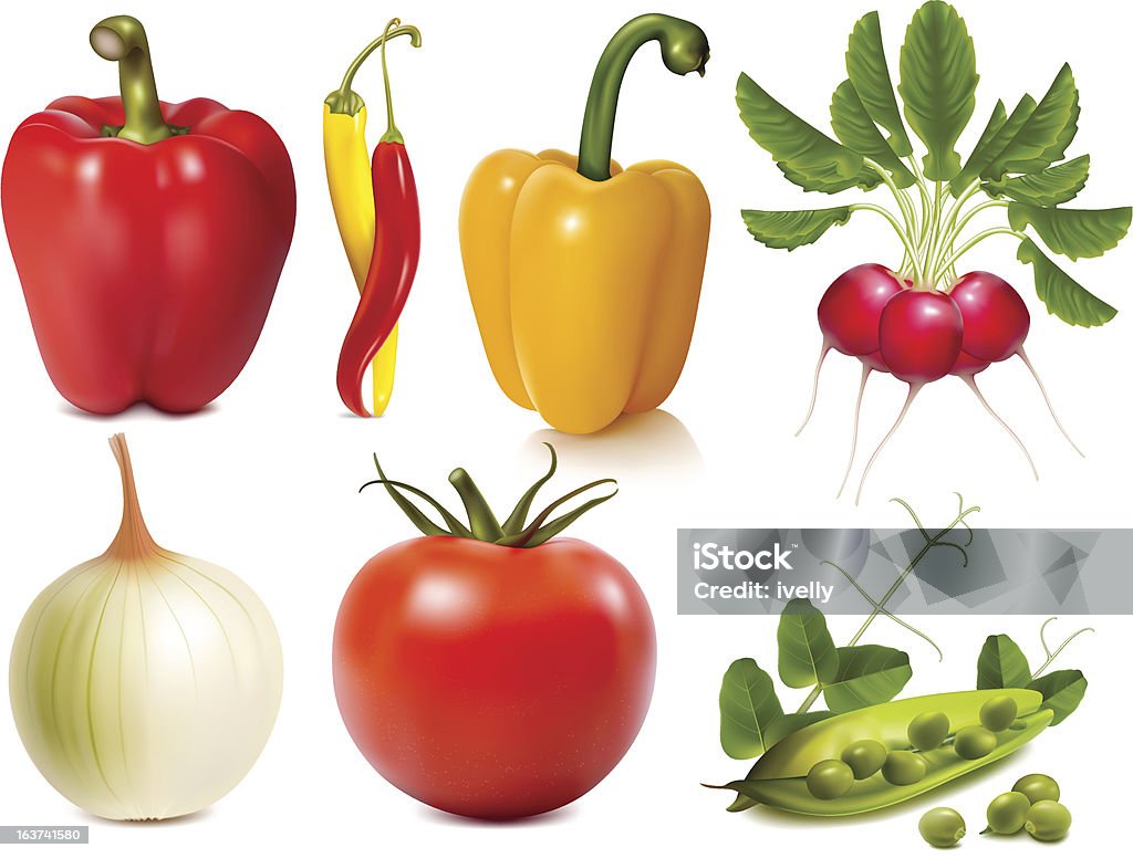 Collection of vector vegetables Collection of photo-realistic vector vegetables Antioxidant stock vector
