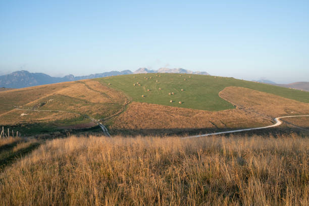 Mountain landscape with dirt road. Plateau of Lessinia, Regional Natural Park of Lessinia, Veneto, Verona, Italy.