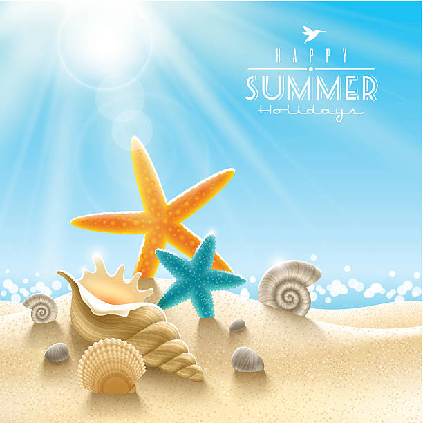 summer holidays illustration - shell stock illustrations
