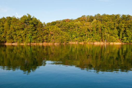 Reflection of trees and hills in a lake on a summer day. Location: Boone Lake in northeast Tennessee.