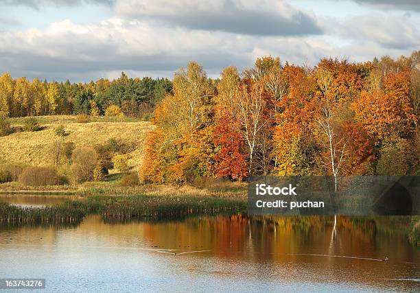 Outono Paisagem - Fotografias de stock e mais imagens de Amarelo - Amarelo, Ao Ar Livre, Cena Rural