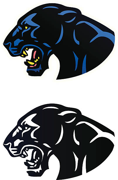 ilustrações de stock, clip art, desenhos animados e ícones de panther mascote - leopard prowling black leopard undomesticated cat