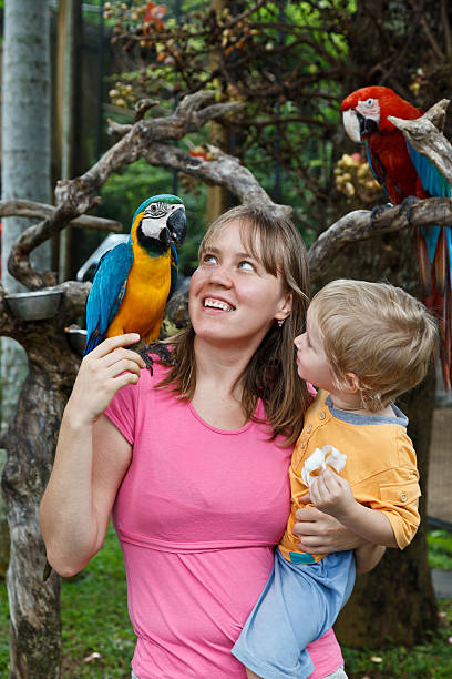 istock family with macaws in tropical nature 163744434