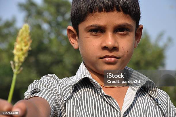 ヴィラージュを持つ少年ク - 児童就労のストックフォトや画像を多数ご用意 - 児童就労, 1人, インド