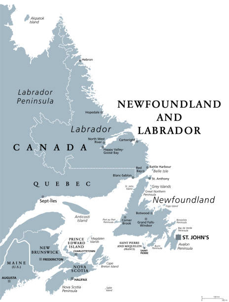 ilustrações de stock, clip art, desenhos animados e ícones de newfoundland and labrador, province of canada, gray political map - saint johns river