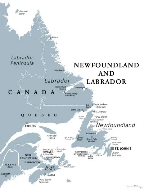 Vector illustration of Newfoundland and Labrador, province of Canada, gray political map