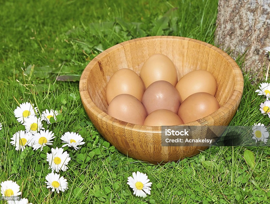 Oeufs de Pâques dans une assiette sur l'herbe verte - Photo de Aliment libre de droits