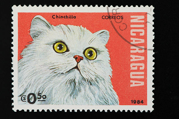 Nicaragua postage stamp