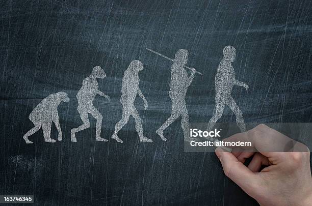 Evolution Foto de stock y más banco de imágenes de Evolución - Evolución, Desarrollo, Charles Darwin - Naturalista