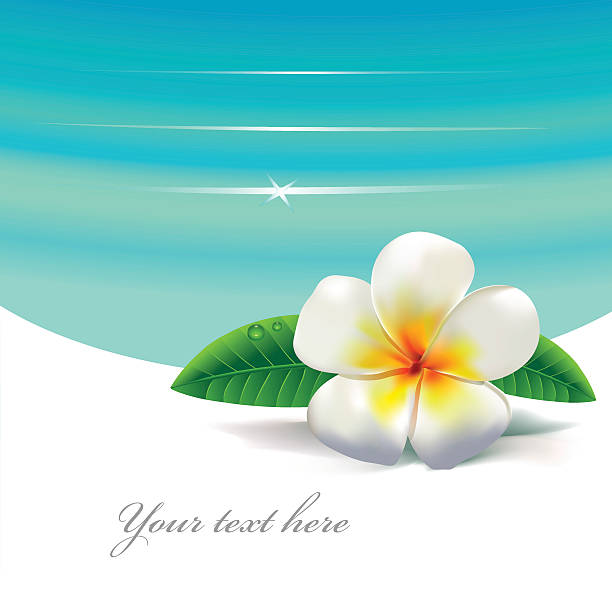 tropical flower vector art illustration