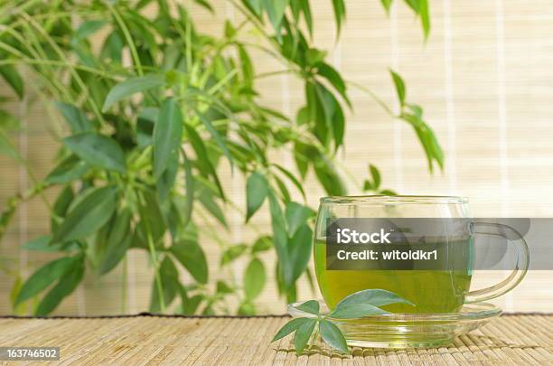 Chá Verde - Fotografias de stock e mais imagens de Antioxidante - Antioxidante, Bambu - Família da relva, Bebida