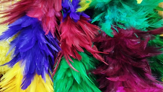 goose feathers that have been colored in bright and attractive colors.