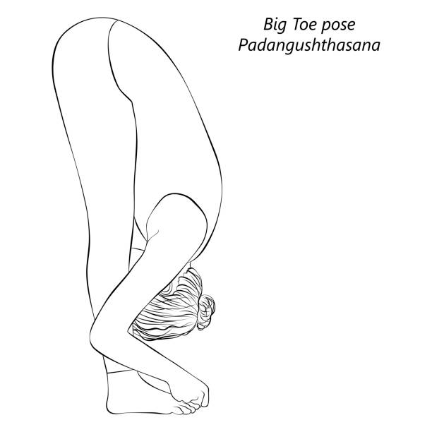 Woman doing Both Big Toe Pose, Double Toe Hold, Balancing Stick Pose,  Dronasana. Practice Ubhaya Padangusthasana. Flat vector illustration  isolated on white background 16126572 Vector Art at Vecteezy