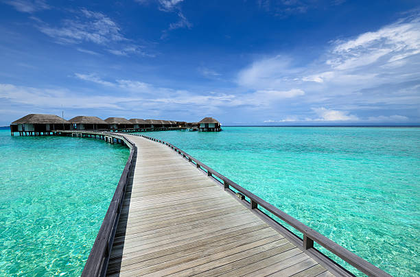 istock Beautiful beach with water bungalows 163747831