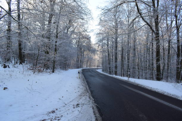 istock country road in winter fores 1637483246