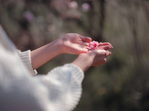 istock A beautiful young woman near a blooming spring pink tree 1637495624