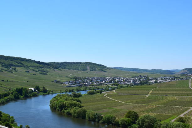 istock Vineyard landscape at the Mosel 1637516840