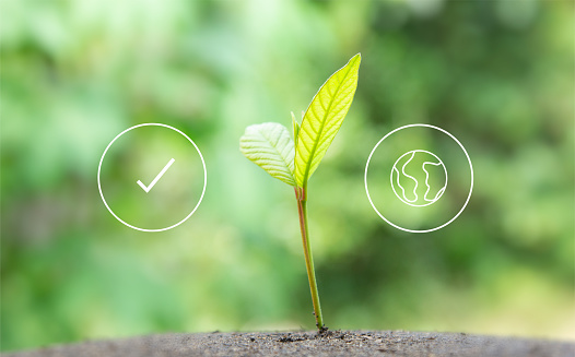 A Sustainable business or green business background with connection icon concept environmentally environmental icon