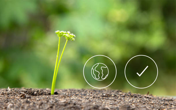 istock An Eco technology or environmental technology concept with environment Icons over the network connection. vector, illustration design 1637519765
