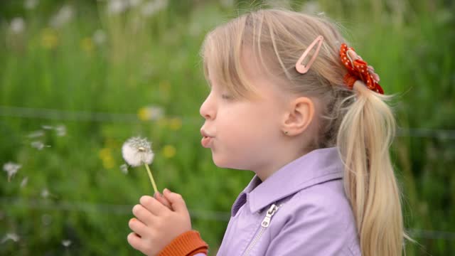 Little Girl Blowing Dandelions