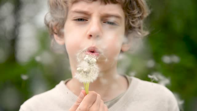 Little Boy Blowing Dandelions