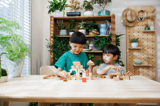 brothers playing with building blocks at home stock photo