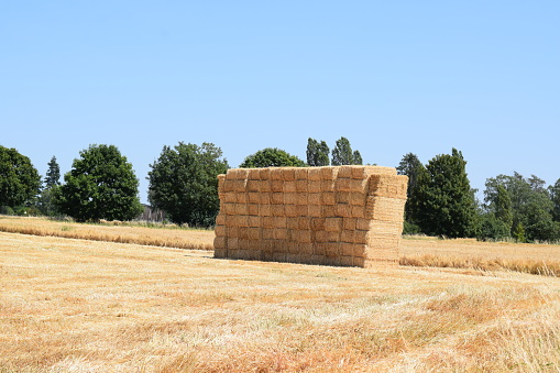 square straw bales stacked to a tower shape
