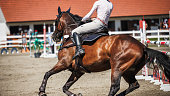 Equestrian show jumping with unrecognizable female jockey