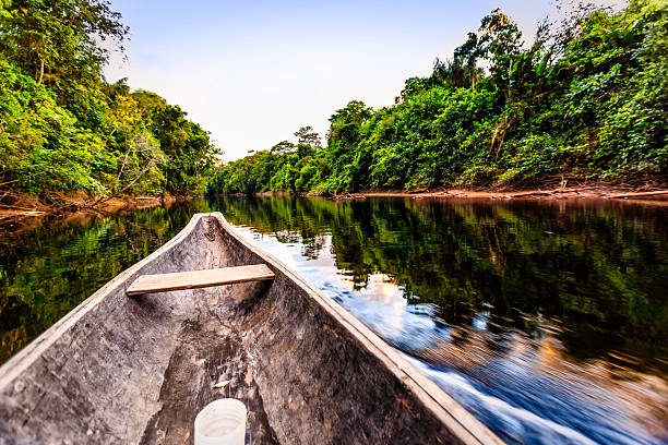 Sailing on Indigenous wooden canoe in the Amazon state Venezuela Sailing on Indigenous wooden canoe on a river in the Amazon state Venezuela amazon rainforest stock pictures, royalty-free photos & images