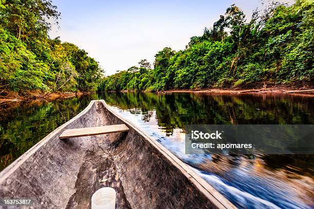 Sailing On Indigenous Wooden Canoe In The Amazon State Venezuela Stock Photo - Download Image Now
