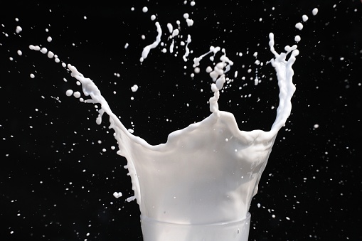 Splashing strawberry into milk. Shot by using high speed sync.