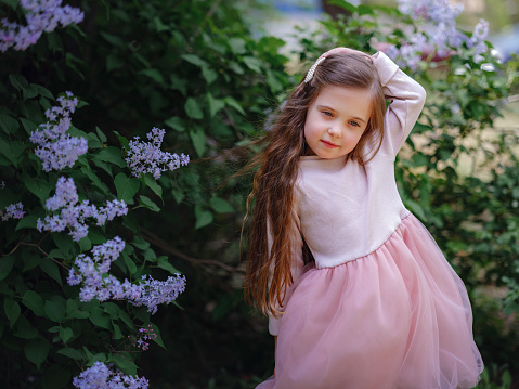 a beautiful little girl in a pink stylish dress walking in a lilac garden. the idea and concept of tenderness and childhood