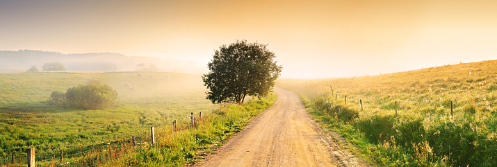 Country Farm Road through Foggy Landscape