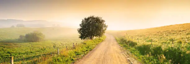 Photo of Country Farm Road through Foggy Landscape